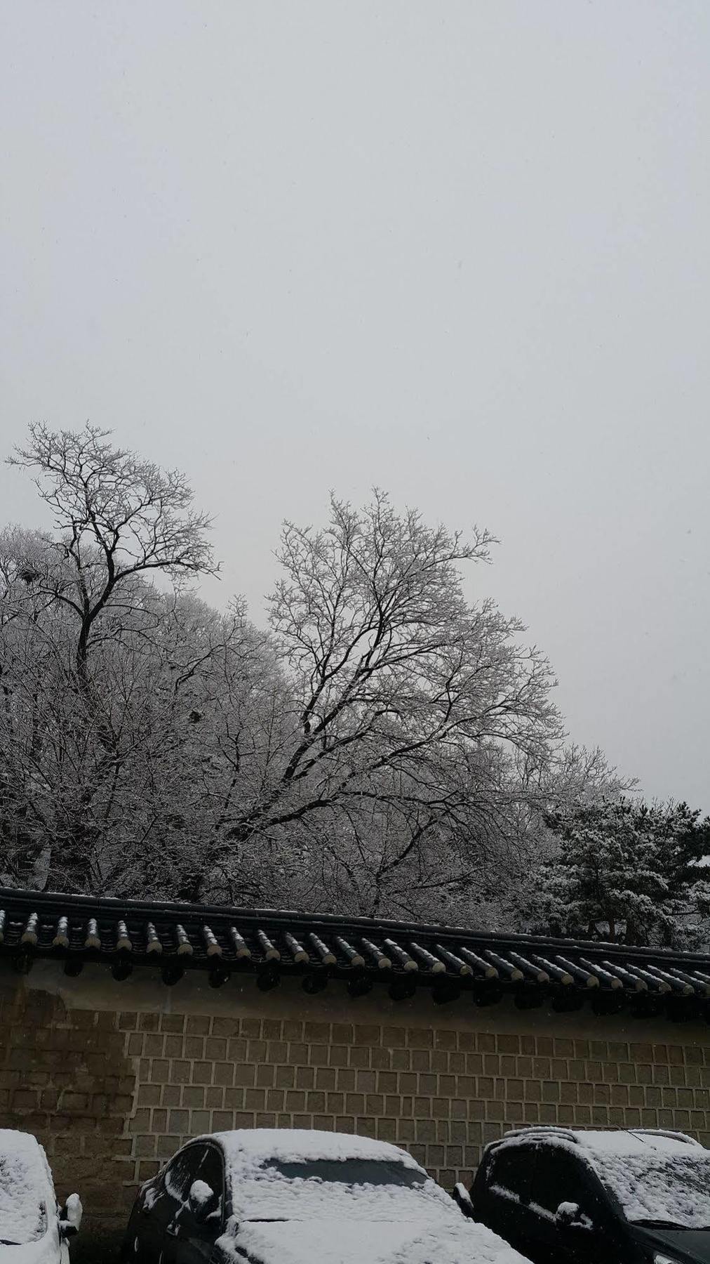 Seoul Y Guest House Exterior foto